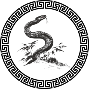 Chinese Zodiac Calculator – Find Your Sign, Element & Yin/Yang