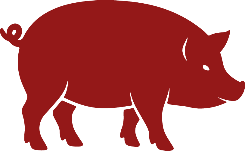 red pig icon