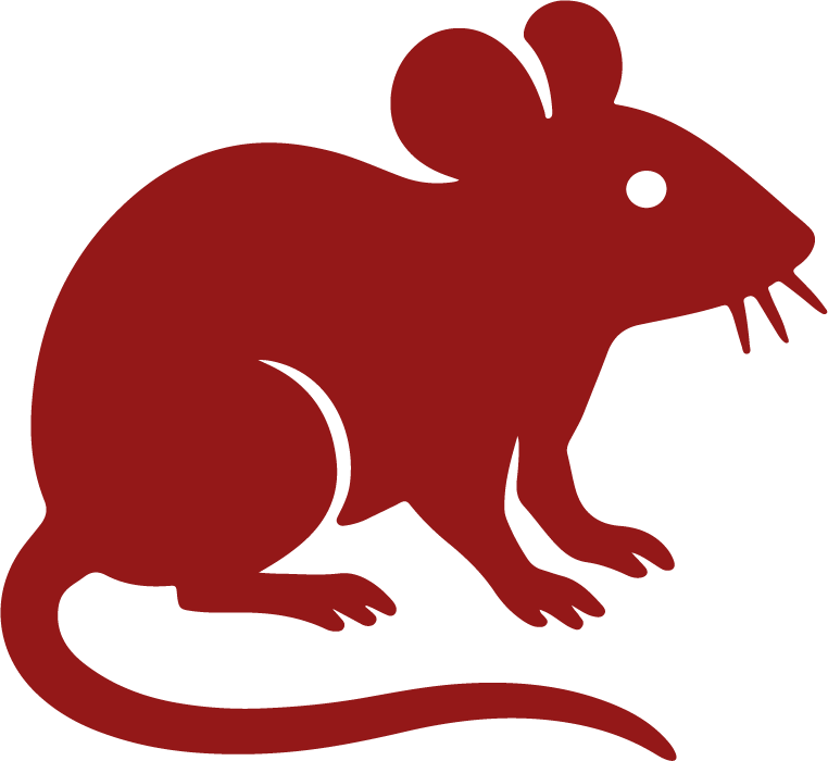 red rat icon
