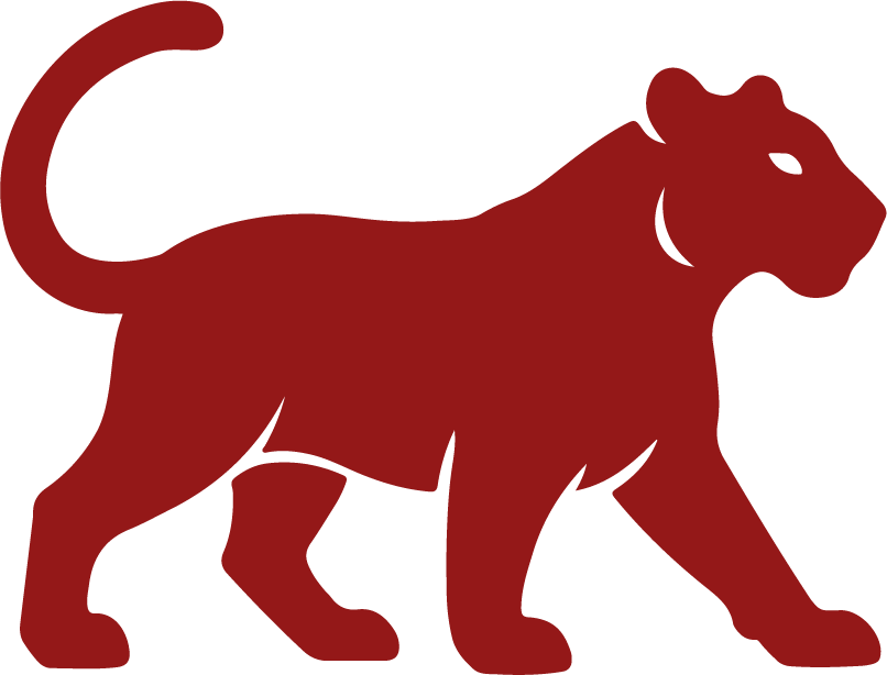 Red Tiger icon