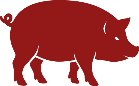 Year of the Pig Chinese Zodiac icon