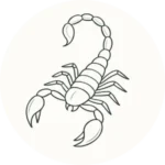 Scorpio Zodiac icon