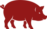 red pig flat icon for Chinese Zodiac of the pig