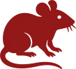 red rat flat icon for Chinese Zodiac of the rat